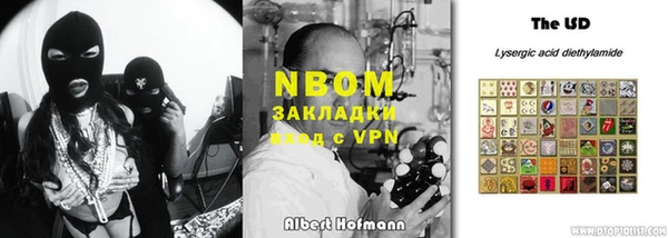 прущие грибы Балахна