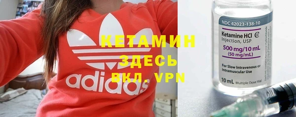 прущие грибы Балахна