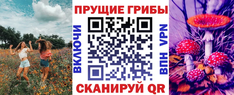 Псилоцибиновые грибы мицелий  Ялуторовск 